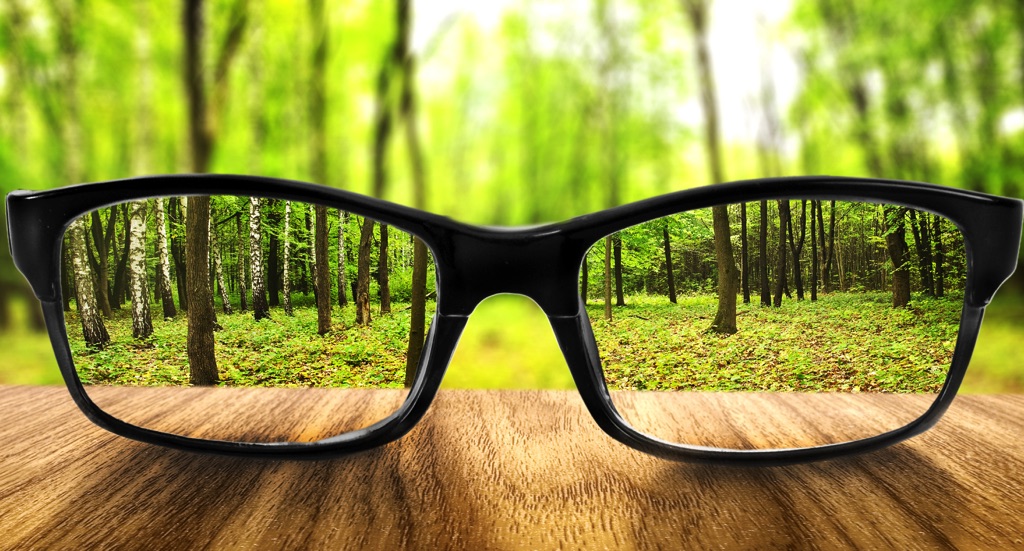 Lentes frente a un bosque, a través de los lentes se puede ver más claro