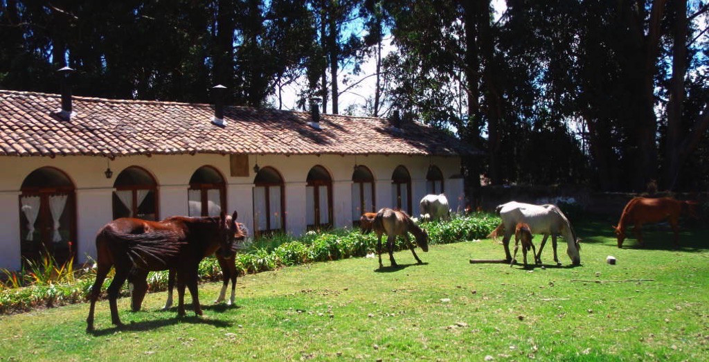 Rancho con caballos en un jardín