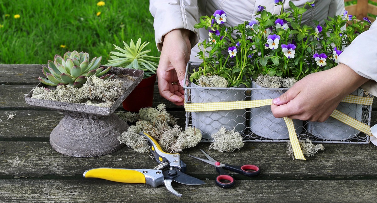 Mujer haciendo mantenimiento de plantas 