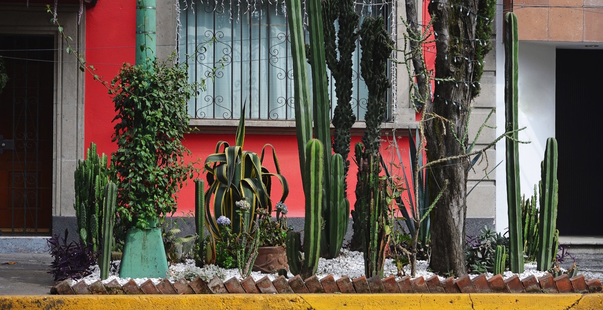 Exterior de una casa con varias plantas