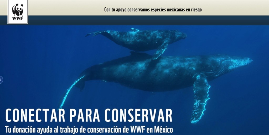 WWF-Donativo-QueridoDinero