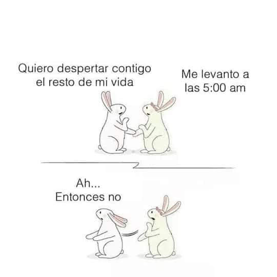 Chiste Despertar Temprano